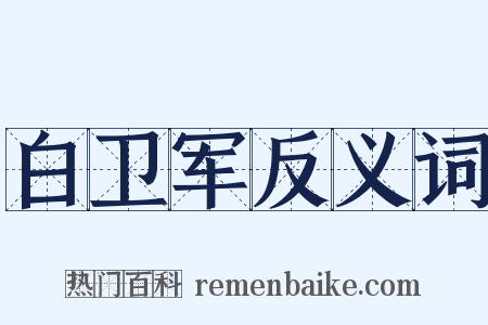 白卫军反义词是什么意思的图片